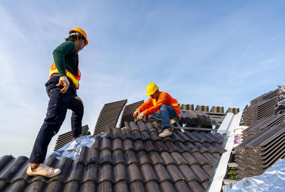 Fusce vestibulum elit ac pharetra iaculis.